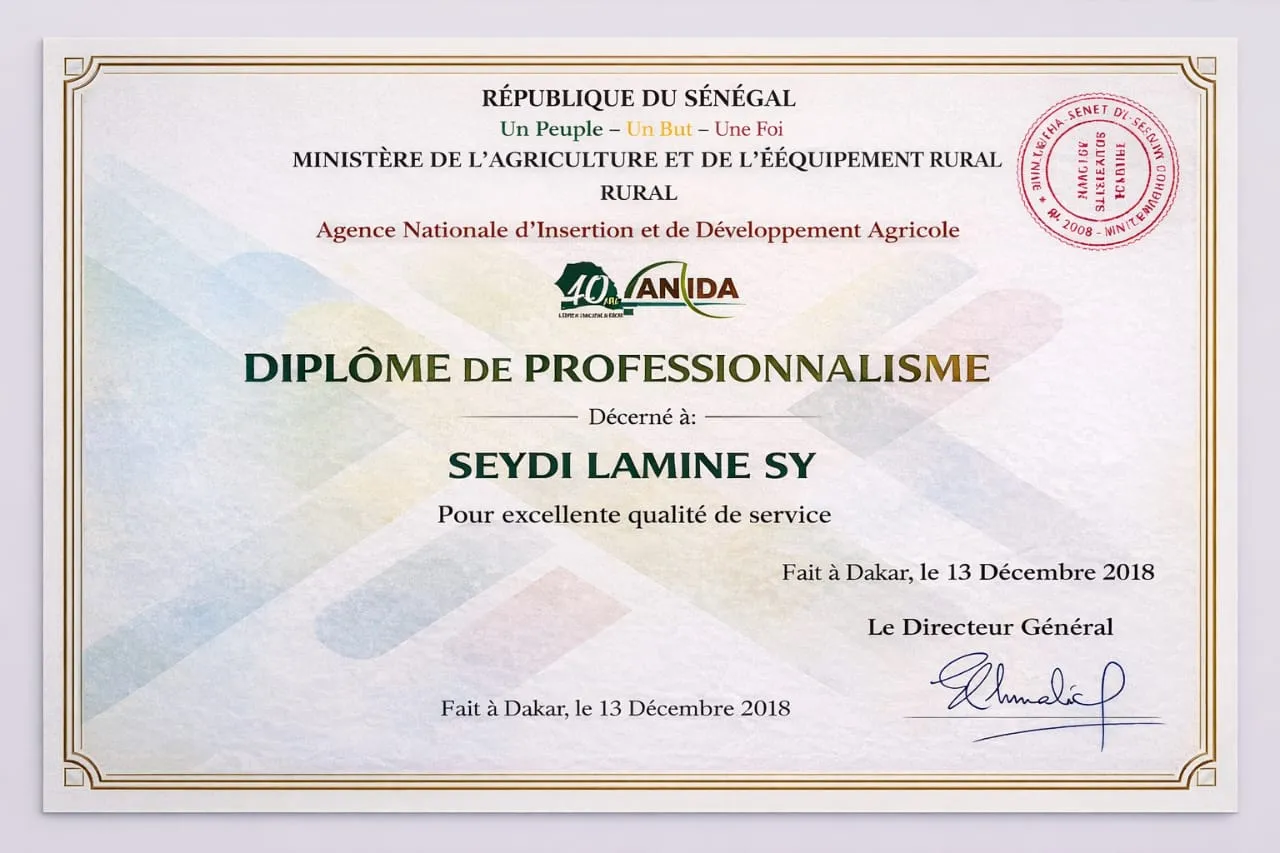 Diplôme de professionnalisme